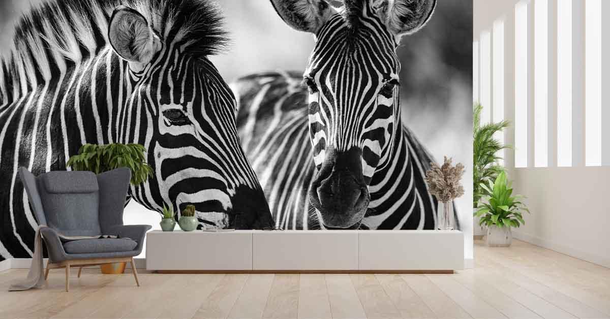 Maxim Verstikkend heuvel Zebra behang | Fotobehang & zebra print | Fotobehang.com - Fotobehang