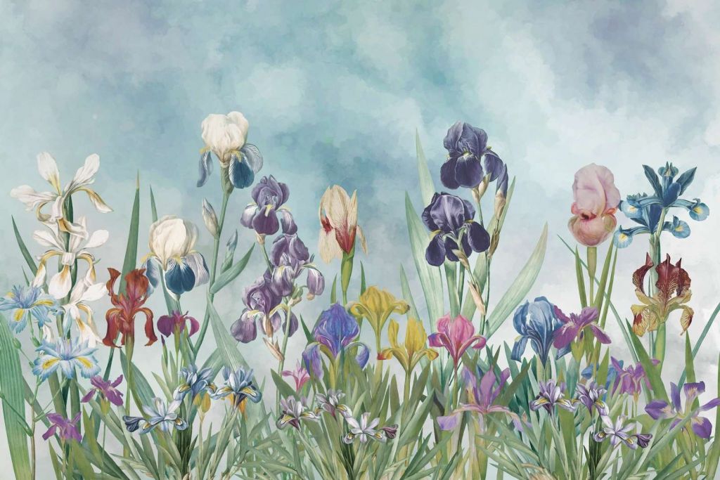 Iris Field